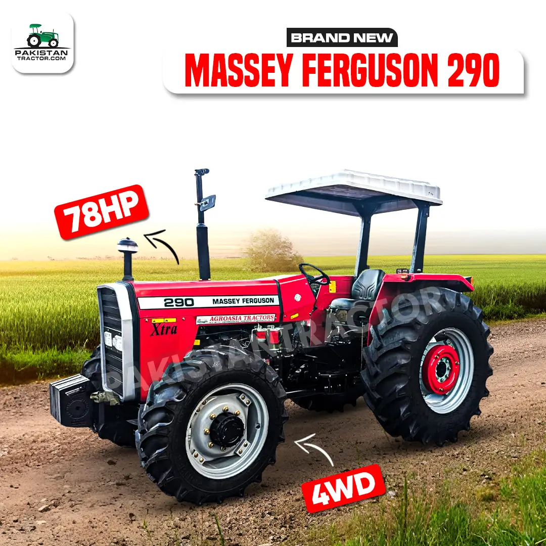 Massey Ferguson 290 for sale