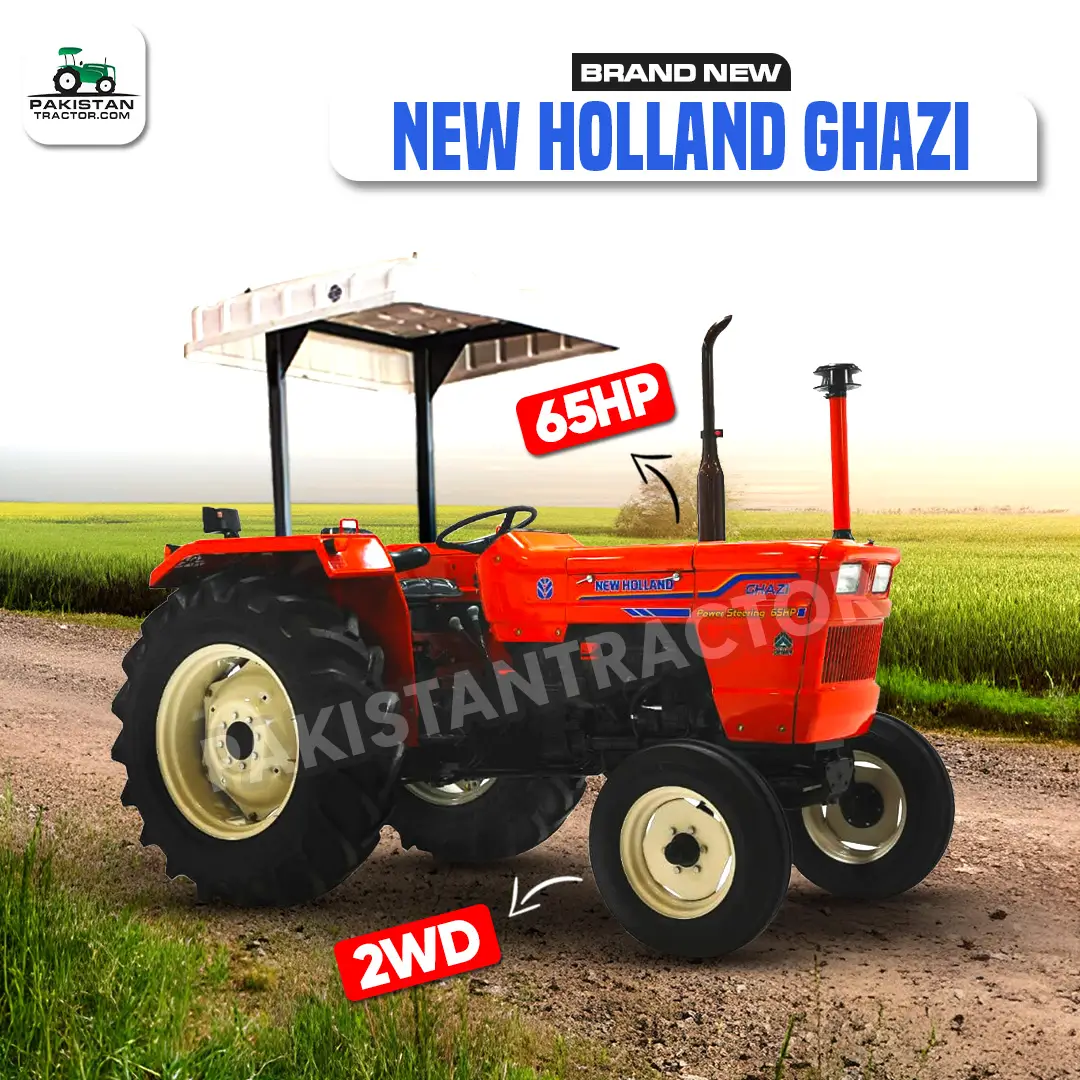 New Holland Ghazi for sale